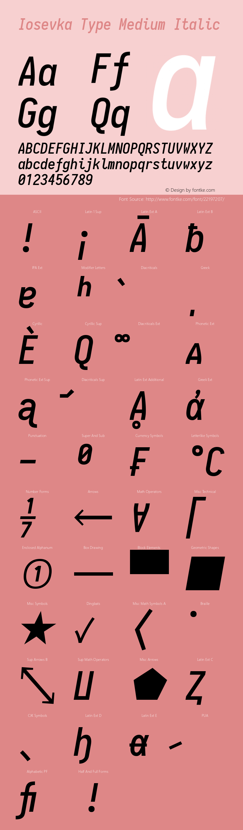 Iosevka Type Medium Italic 1.13.1; ttfautohint (v1.6) Font Sample