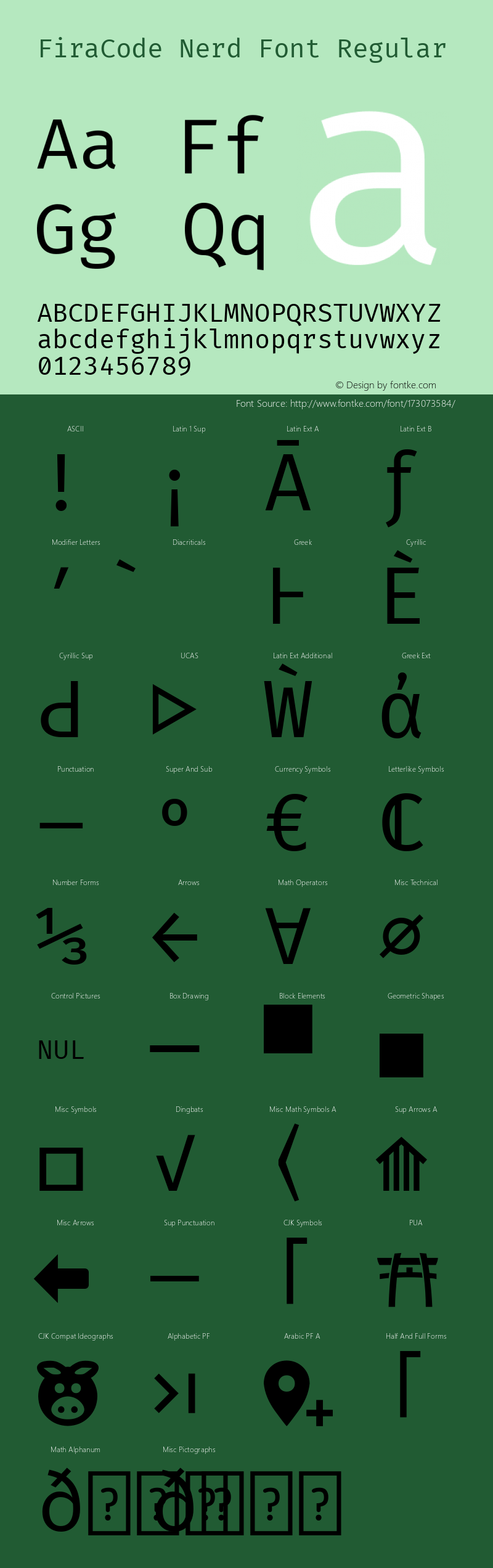 Fira Code Regular Nerd Font Complete Version 5.002图片样张