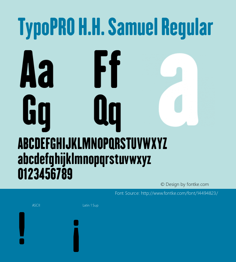 TypoPRO H.H. Samuel Regular Version 1.009 Font Sample