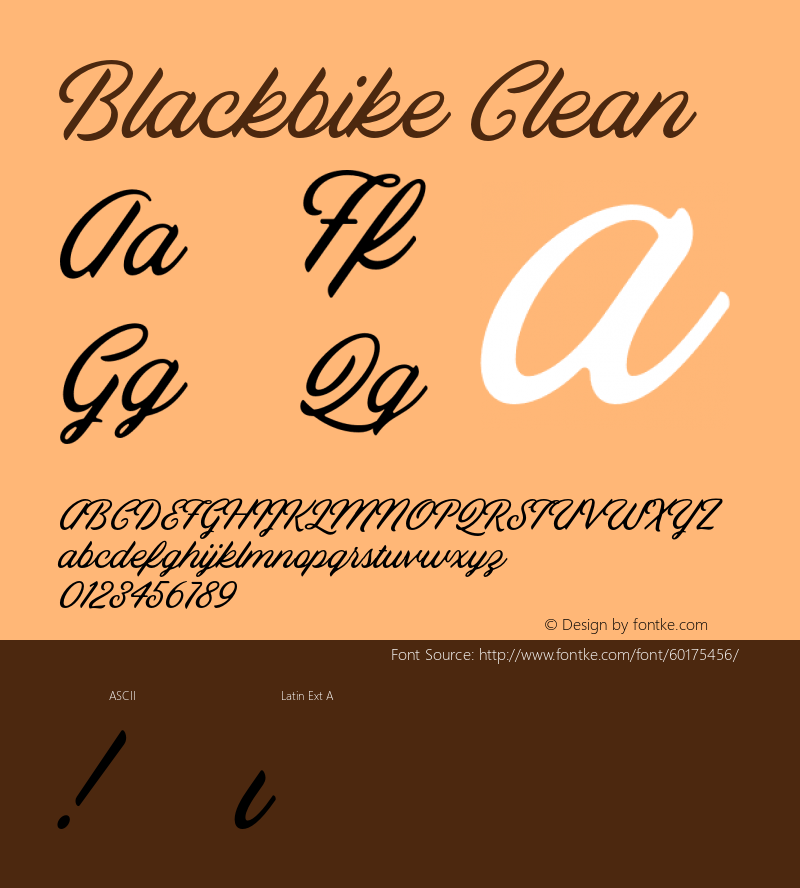 Blackbike Clean Version 1.000;PS 001.000;hotconv 1.0.88;makeotf.lib2.5.64775 Font Sample