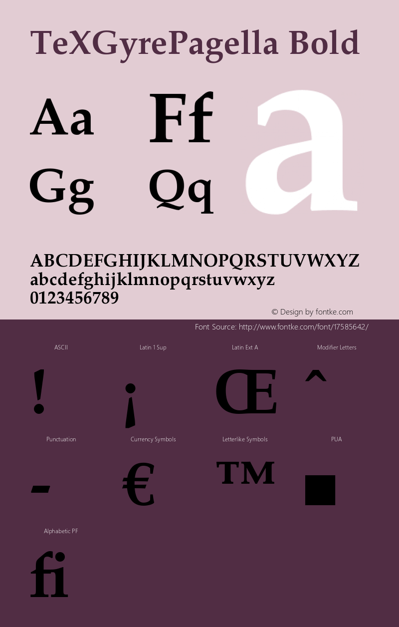 TeXGyrePagella Bold Version 1.103;PS 1.103;hotconv 1.0.49;makeotf.lib2.0.14853 Font Sample