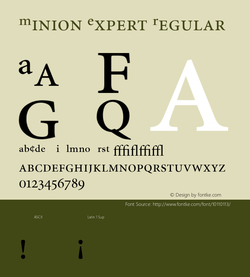 Minion Expert Regular V.1.0 Font Sample