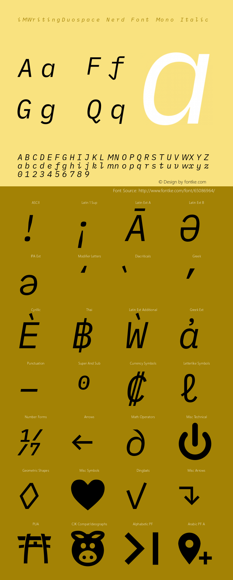 iM Writing Duospace Italic Nerd Font Complete Mono Version 1.005;PS 001.005;hotconv 1.0.88;makeotf.lib2.5.64775 Font Sample