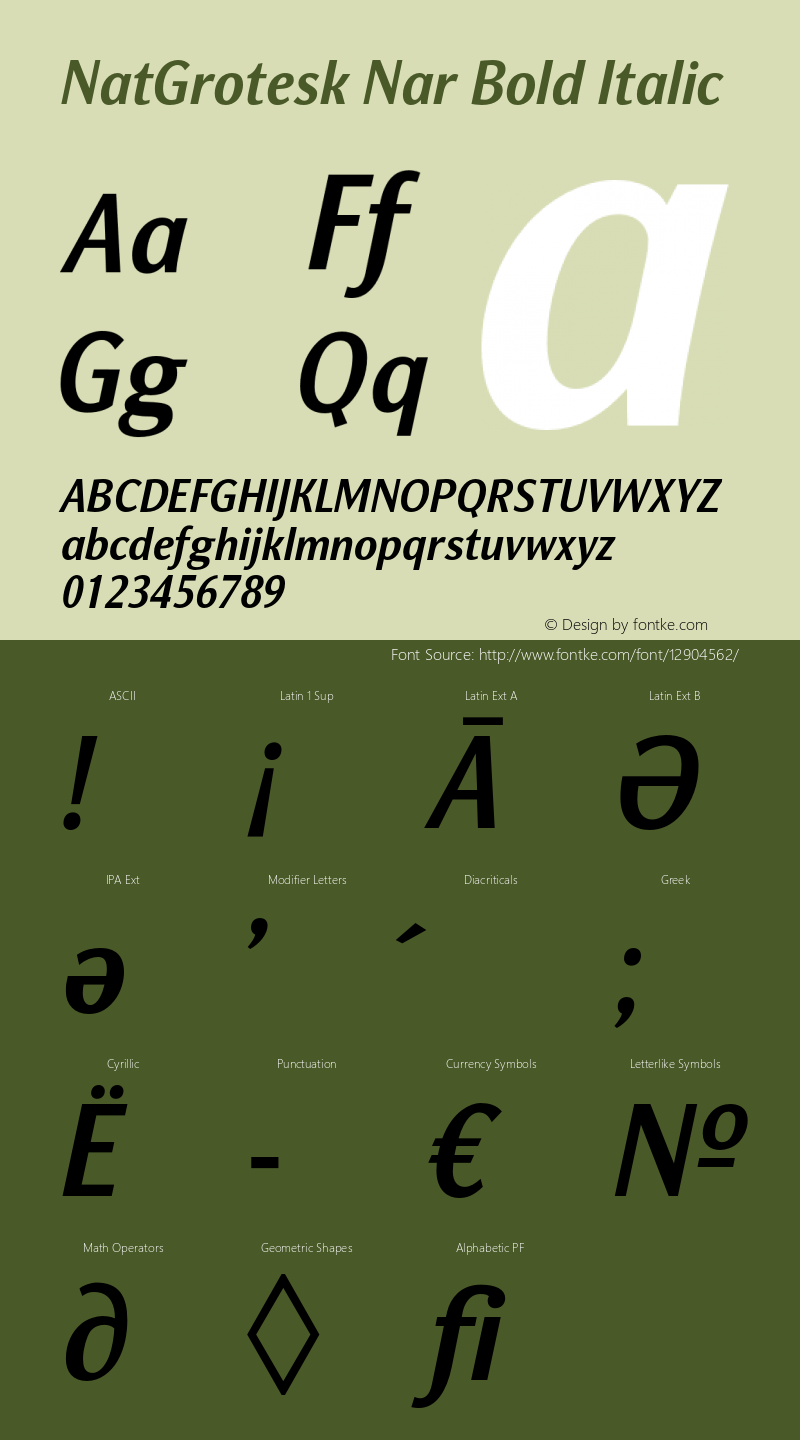 NatGrotesk Nar Bold Italic Version 2.000 Font Sample