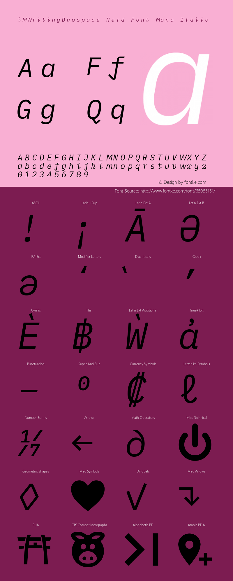 iM Writing Duospace Italic Nerd Font Complete Mono Version 1.005 Font Sample