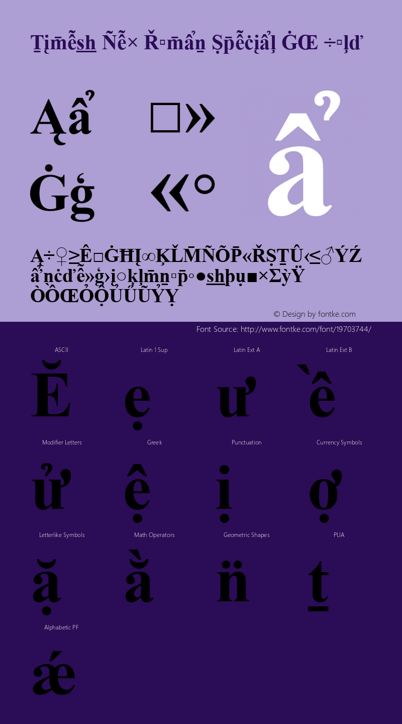 Times New Roman Special G2 Bold Version 1.03 Font Sample