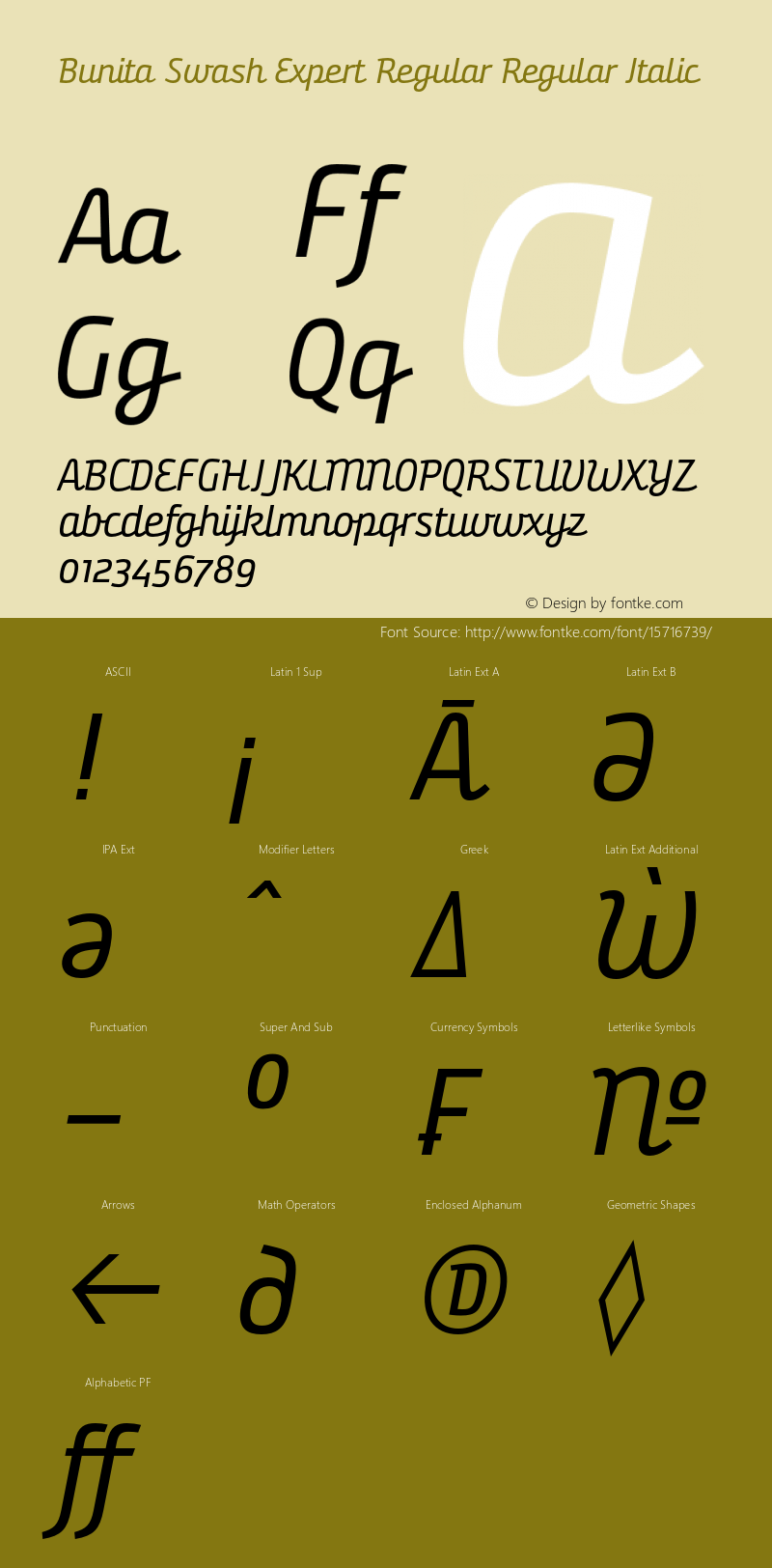 Bunita Swash Expert Regular Regular Italic Version 1.141 Font Sample