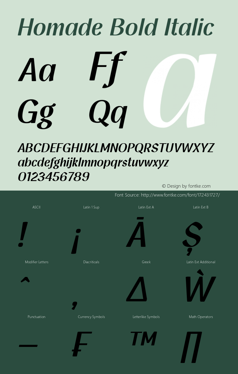 Homade Bold Italic Version 1.000图片样张