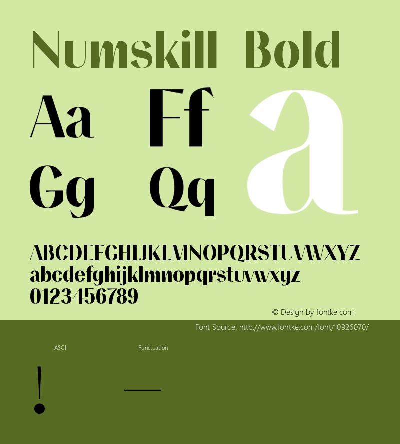 Numskill Bold Version 1.000 Font Sample