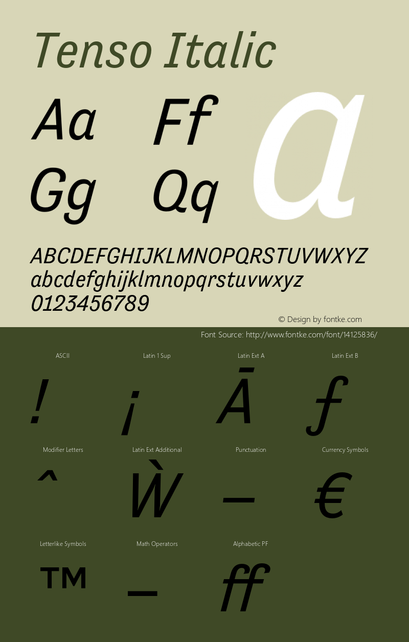 Tenso Italic Version 1.035 Font Sample
