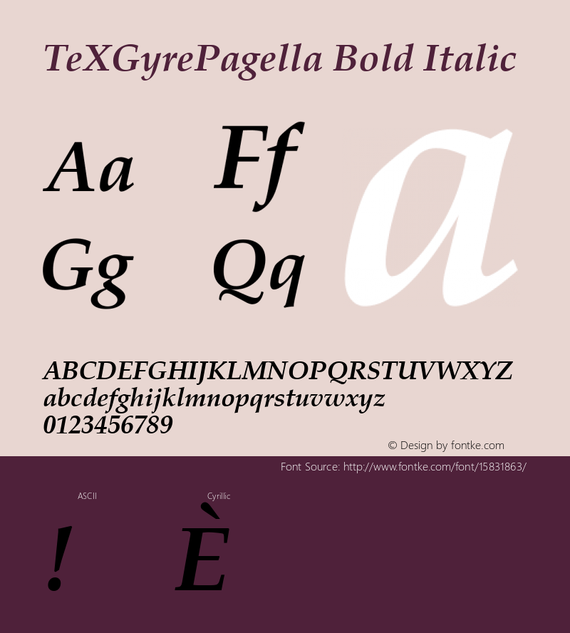 TeXGyrePagella Bold Italic Version 1.103;PS 1.103;hotconv 1.0.49;makeotf.lib2.0.14853; ttfautohint (v1.4.1) Font Sample