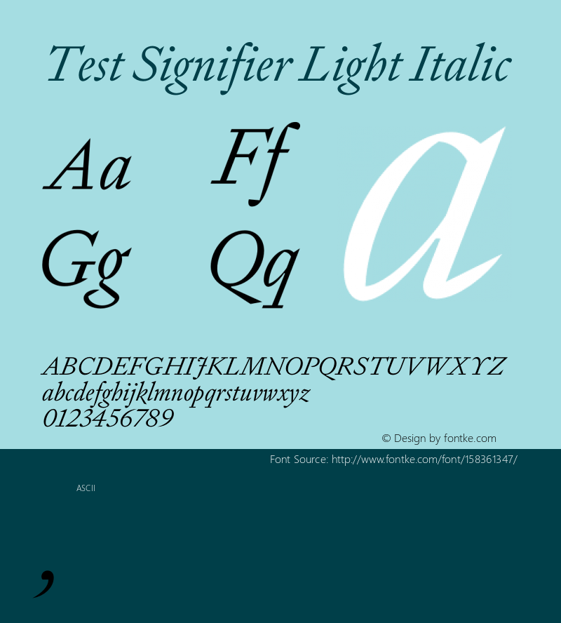 Test Signifier Light Italic Version 1.004;hotconv 1.0.113;makeotfexe 2.5.65598 Font Sample