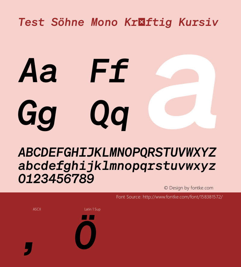 Test Söhne Mono Krf Kursiv Version 1.108;hotconv 1.0.116;makeotfexe 2.5.65601 Font Sample