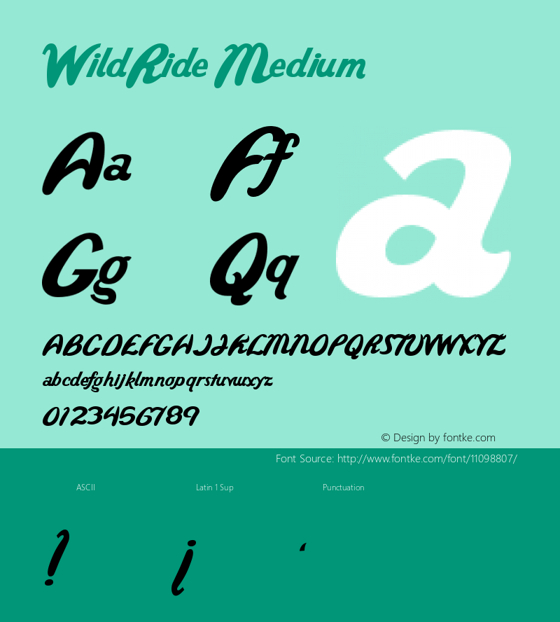 WildRide Medium Version 001.000 Font Sample