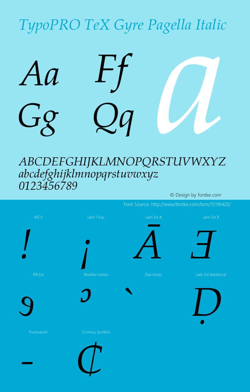 TypoPRO TeX Gyre Pagella Italic Version 2.004;PS 2.004;hotconv 1.0.49;makeotf.lib2.0.14853 Font Sample