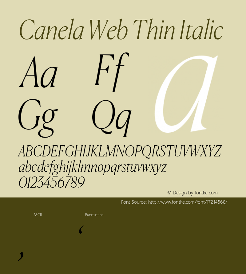 Canela Web Thin Italic Version 1.1 2016 Font Sample