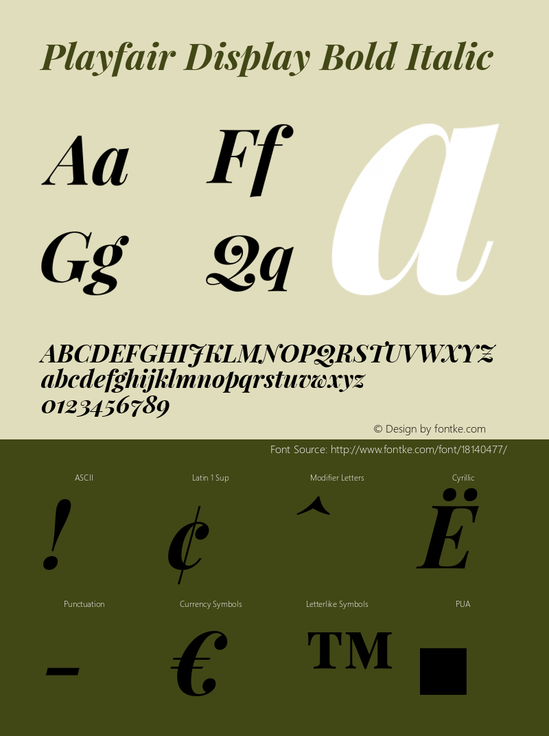 Playfair Display Bold Italic Version 1.002;PS 001.002;hotconv 1.0.70;makeotf.lib2.5.58329 Font Sample