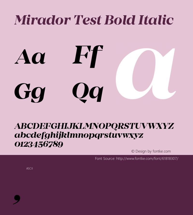Mirador Test Bold Italic Version 1.002;PS 001.002;hotconv 1.0.88;makeotf.lib2.5.64775 Font Sample