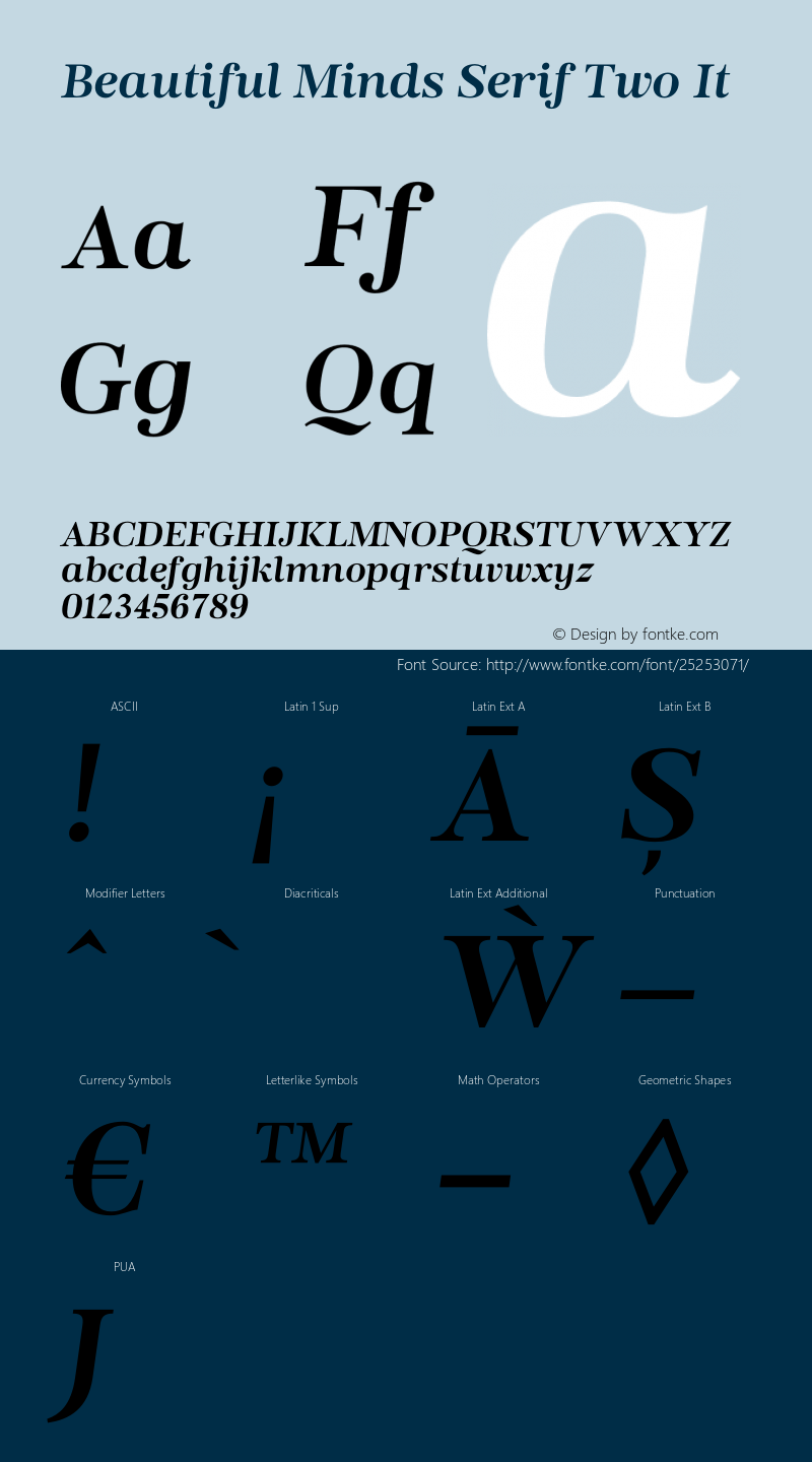 Beautiful Minds Serif Two It Version 1.000;PS 001.000;hotconv 1.0.88;makeotf.lib2.5.64775 Font Sample