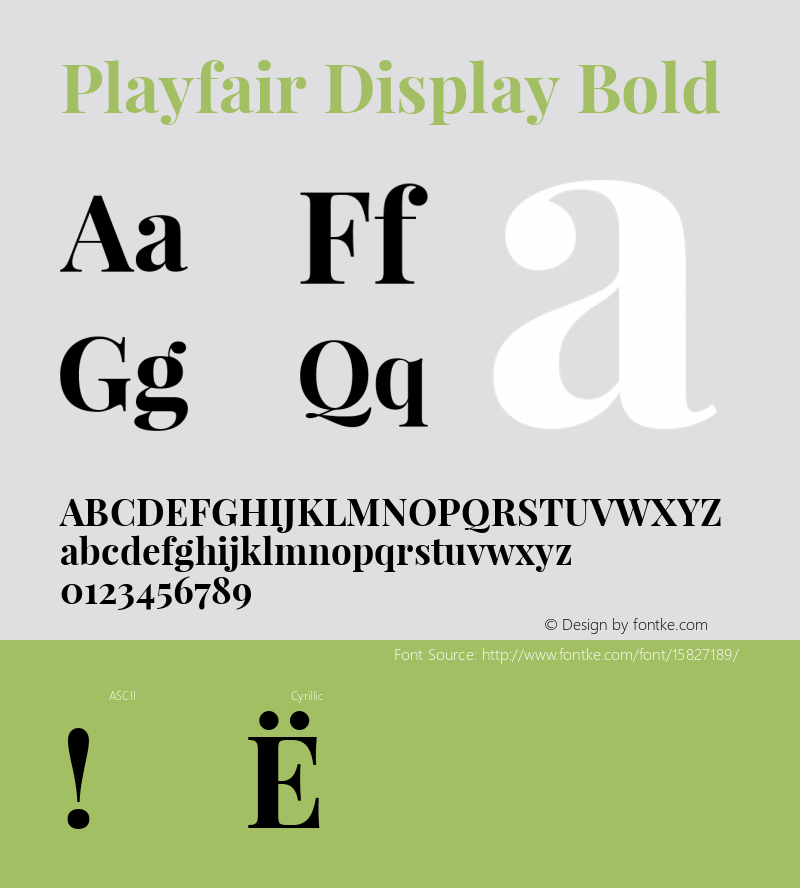 Playfair Display Bold Version 1.004;PS 001.004;hotconv 1.0.70;makeotf.lib2.5.58329; ttfautohint (v1.4.1) Font Sample