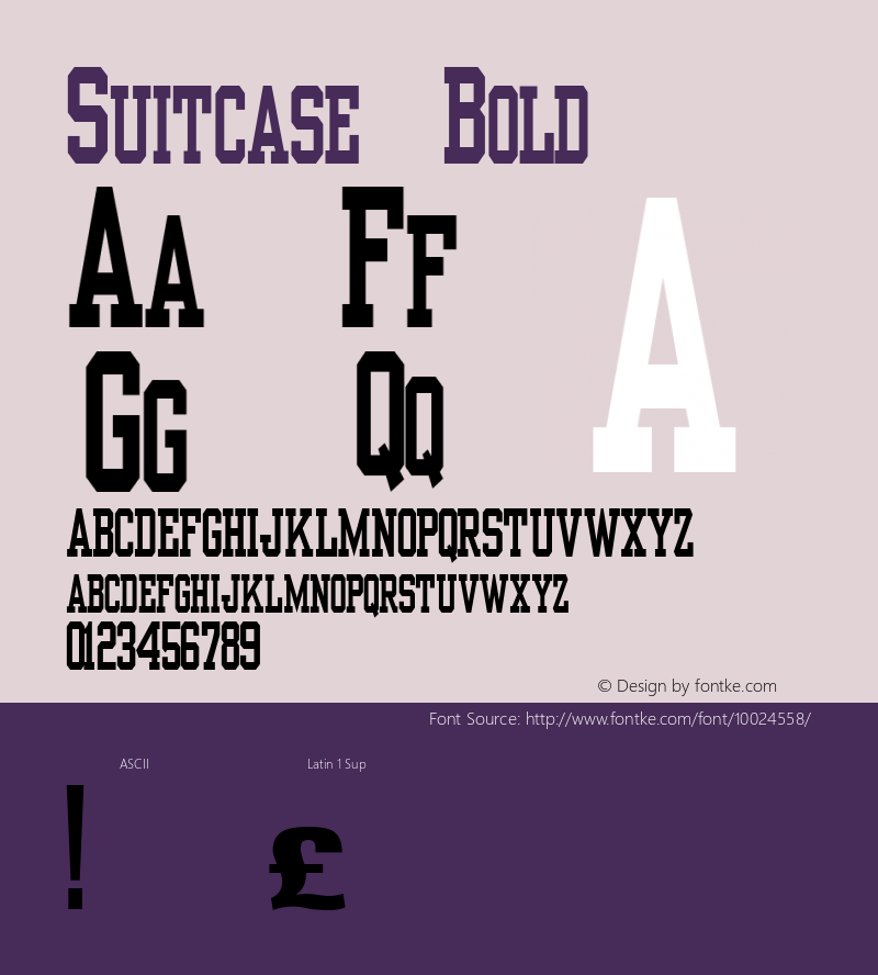 Suitcase Bold Unknown Font Sample