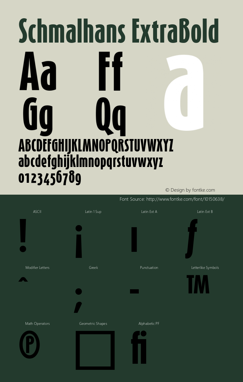 Schmalhans ExtraBold Version 001.000 Font Sample