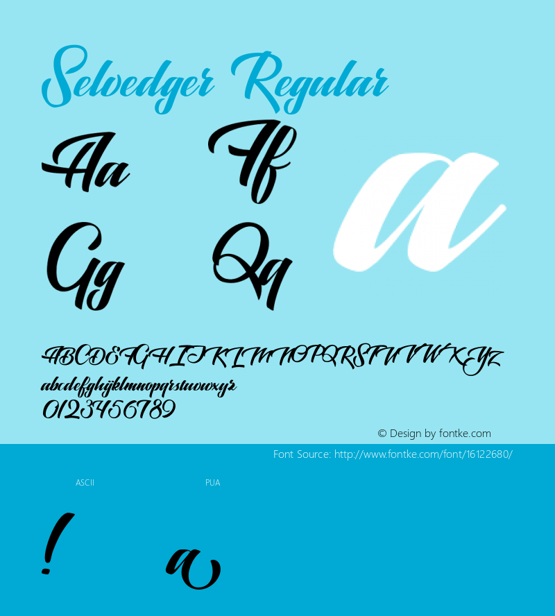 Selvedger Regular Version 1.000;PS 001.000;hotconv 1.0.70;makeotf.lib2.5.58329 DEVELOPMENT Font Sample