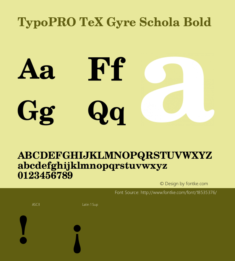 TypoPRO TeX Gyre Schola Bold Version 2.005;PS 2.005;hotconv 1.0.49;makeotf.lib2.0.14853 Font Sample