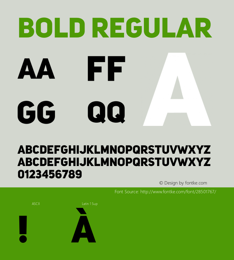 Bold Regular 