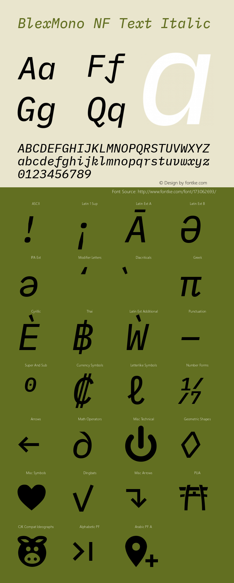 Blex Mono Text Italic Nerd Font Complete Windows Compatible Version 2.000图片样张