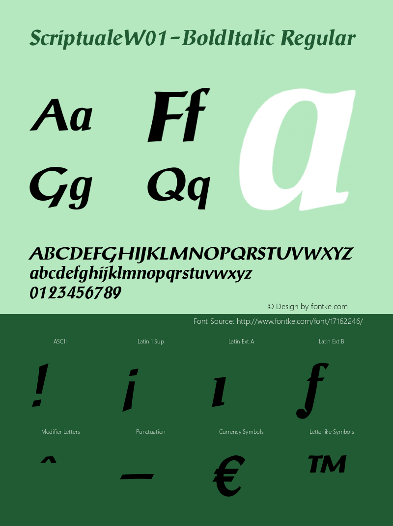 ScriptualeW01-BoldItalic Regular Version 1.01 Font Sample