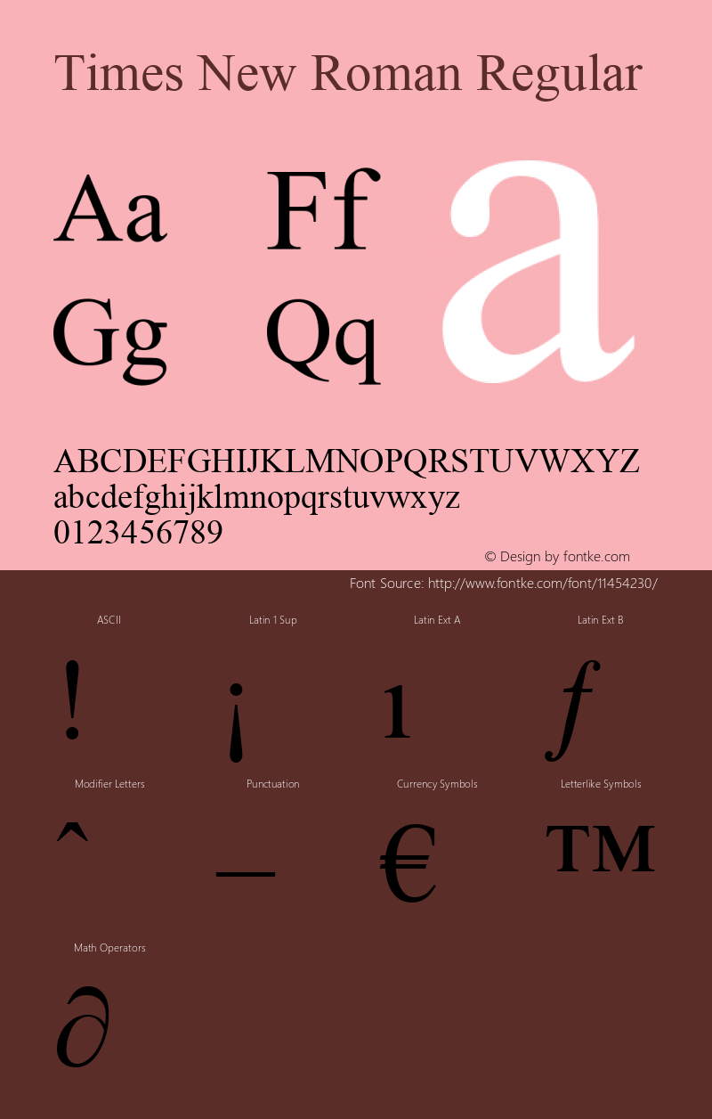 Times New Roman Regular Unknown Font Sample