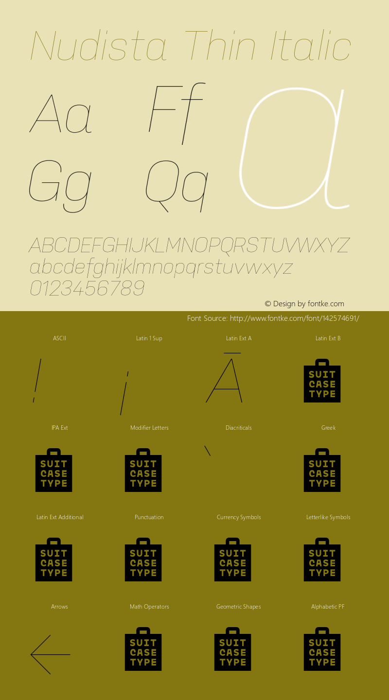 Nudista Thin Italic Version 1.100;hotconv 1.0.109;makeotfexe 2.5.65596 Font Sample