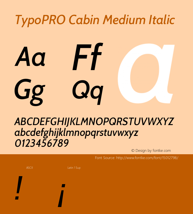 TypoPRO Cabin Medium Italic Version 1.005 Font Sample