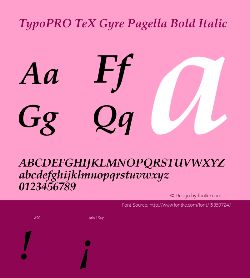 TypoPRO TeX Gyre Pagella Bold Italic Version 2.004;PS 2.004;hotconv 1.0.49;makeotf.lib2.0.14853 Font Sample