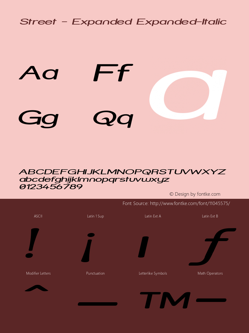 Street - Expanded Expanded-Italic Version 001.000 Font Sample