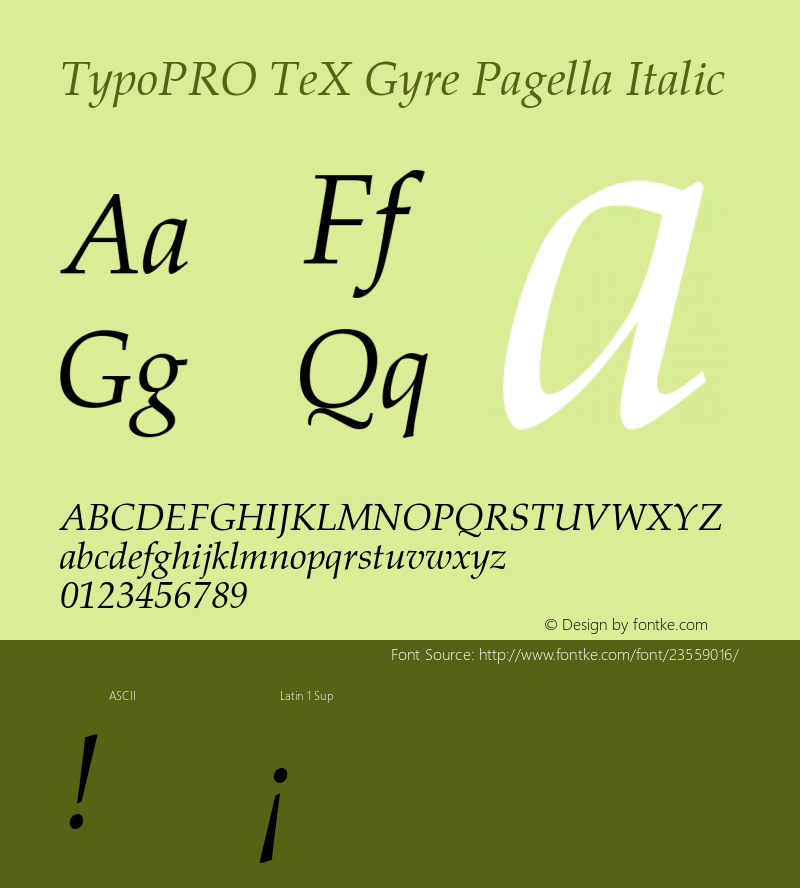 TypoPRO TeXGyrePagella-Italic Version 2.004;PS 2.004;hotconv 1.0.49;makeotf.lib2.0.14853 Font Sample