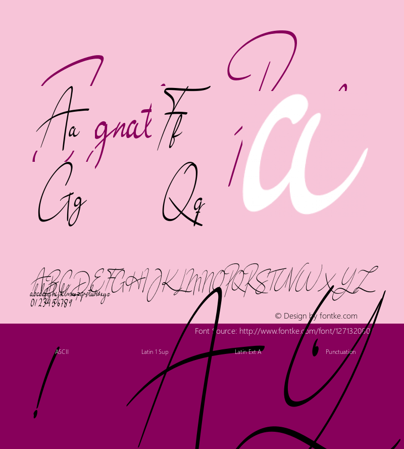 Signature2 Version 1.002;Fontself Maker 3.5.1 Font Sample