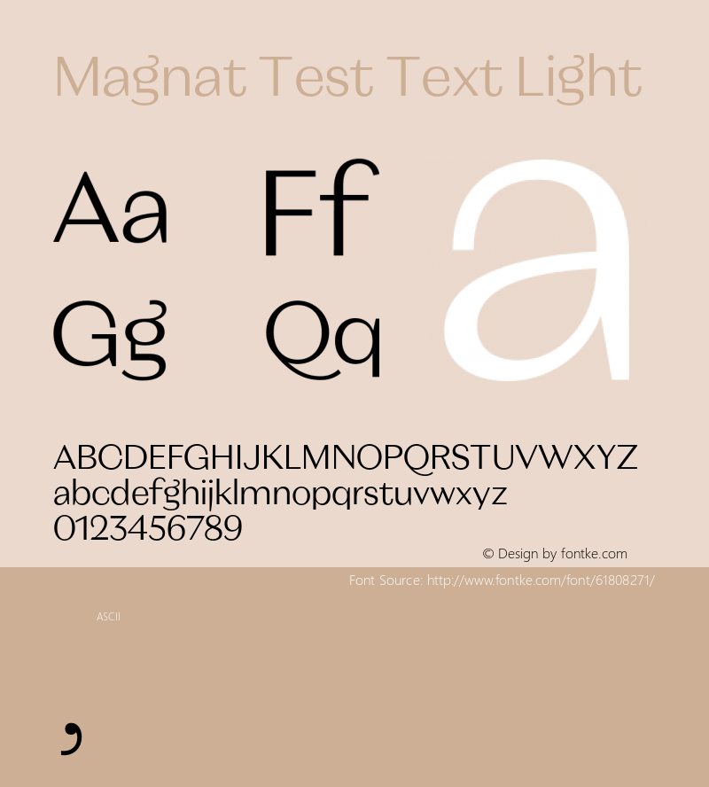 Magnat Test Text Light Version 1.000;PS 001.000;hotconv 1.0.88;makeotf.lib2.5.64775 Font Sample