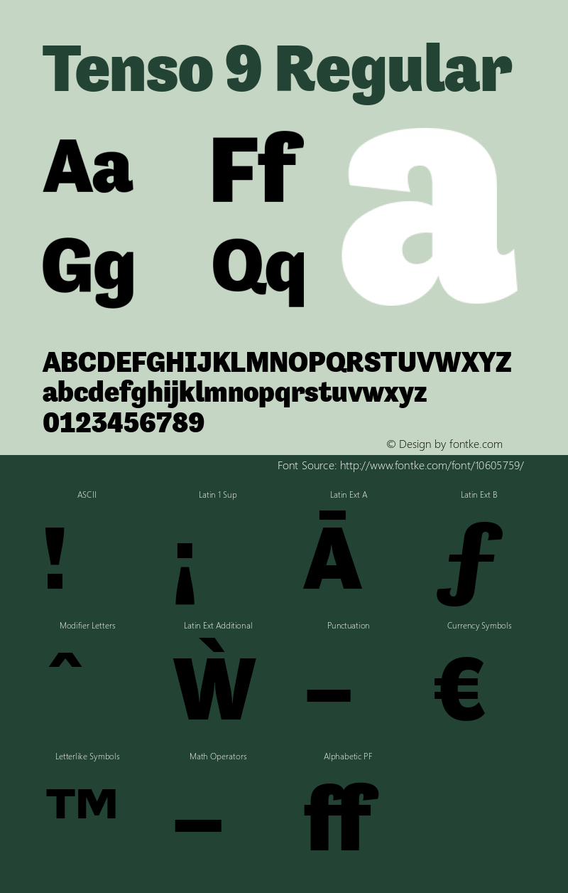 Tenso 9 Regular Version 1.035;com.myfonts.exljbris.tenso.black.wfkit2.41Ed Font Sample