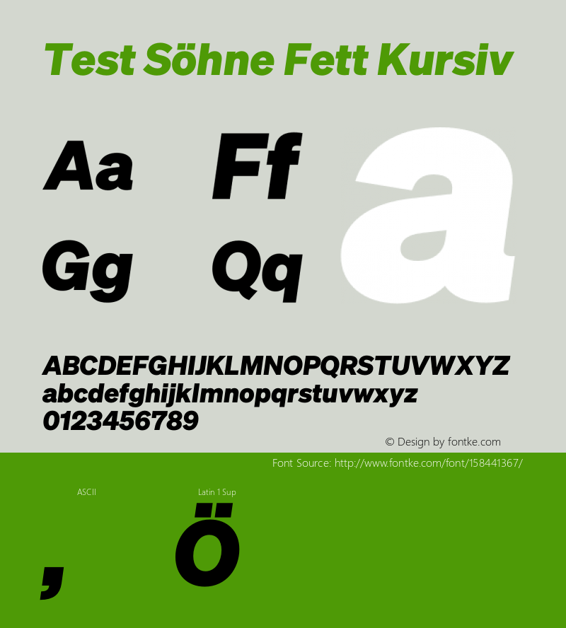 Test Söhne Fett Kursiv Version 1.108;hotconv 1.0.116;makeotfexe 2.5.65601 Font Sample