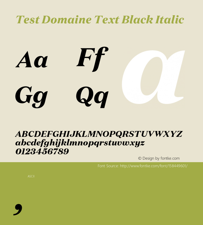Test Domaine Text Blk Italic Version 1.004;PS 1.0;hotconv 16.6.54;makeotf.lib2.5.65590 Font Sample