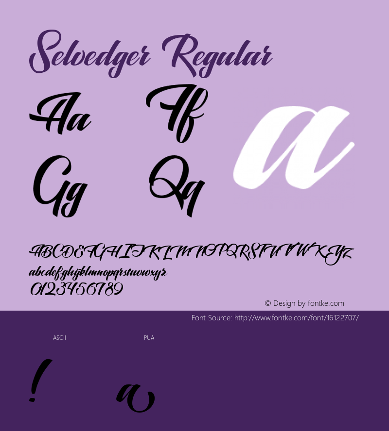 Selvedger Regular Version 1.000;PS 001.000;hotconv 1.0.70;makeotf.lib2.5.58329 DEVELOPMENT Font Sample