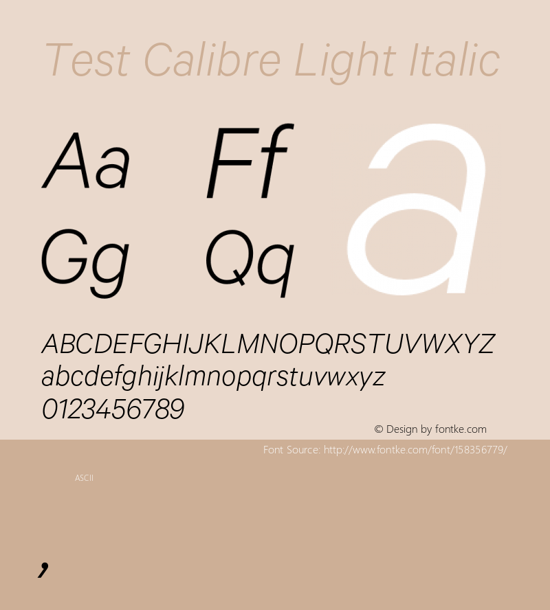 Test Calibre Light Italic Version 1.005;PS 001.001;hotconv 16.6.54;makeotf.lib2.5.65590 Font Sample