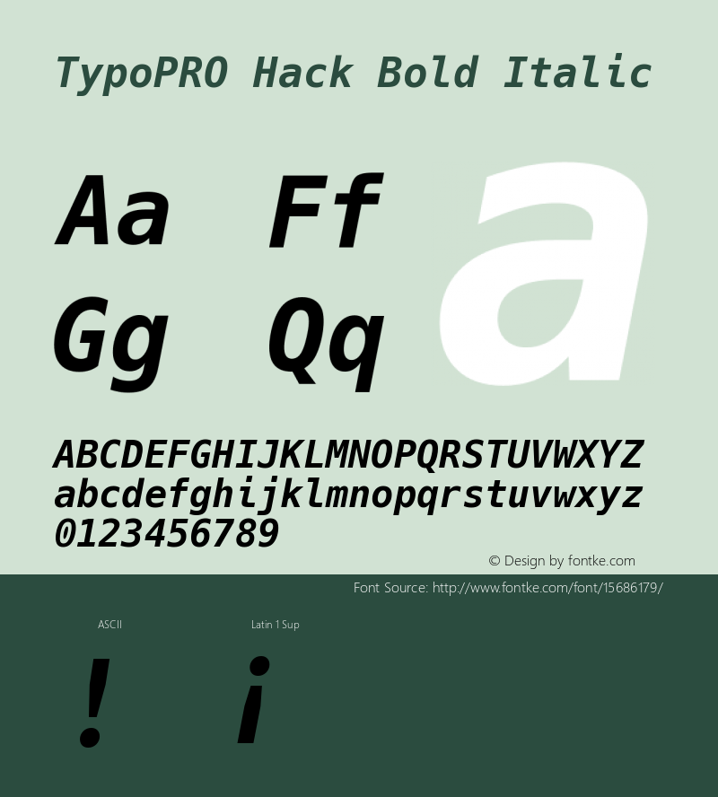 TypoPRO Hack Bold Italic Version 2.013 Font Sample