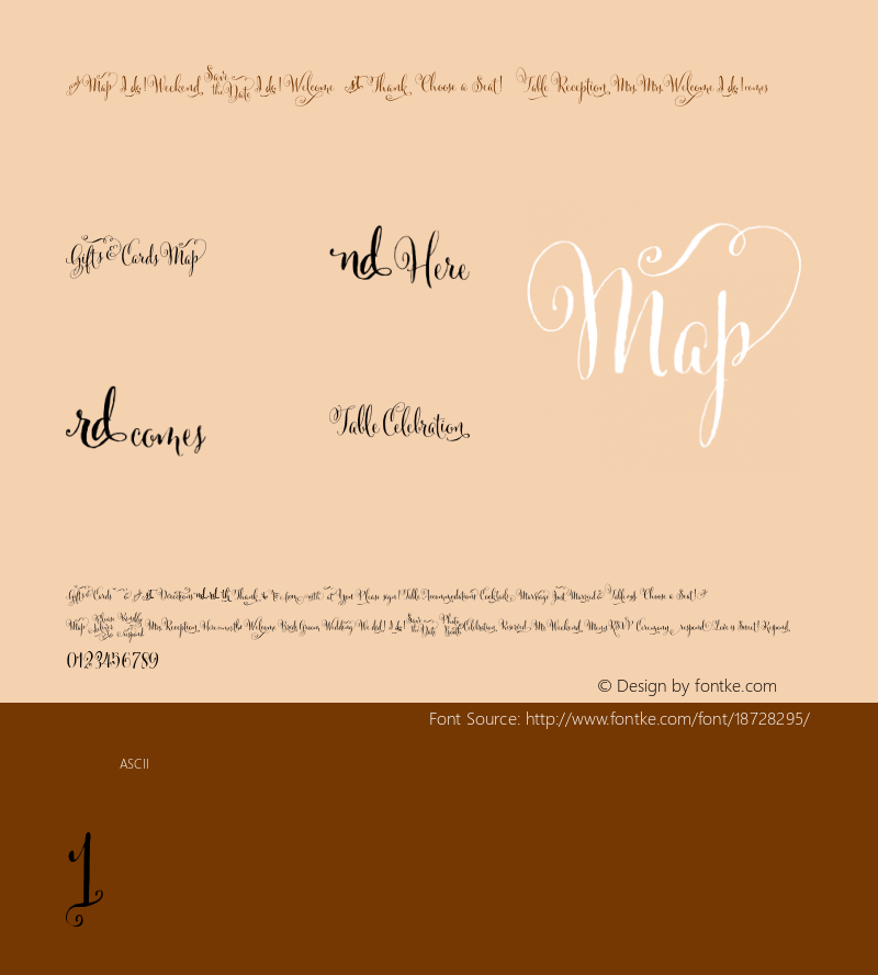 Cantoni DIY Wedding ☞ com.myfonts.easy.debi-sementelli.cantoni.wedding.wfkit2.version.43rF Font Sample