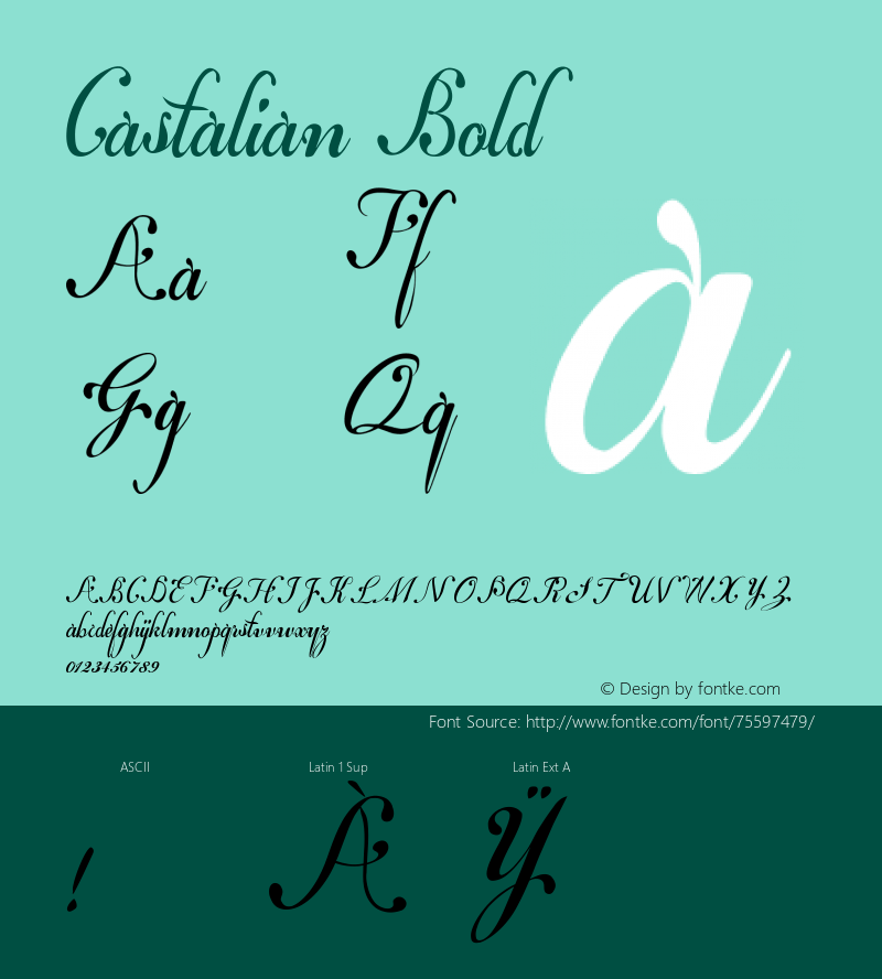 Castalian Bold  Font Sample