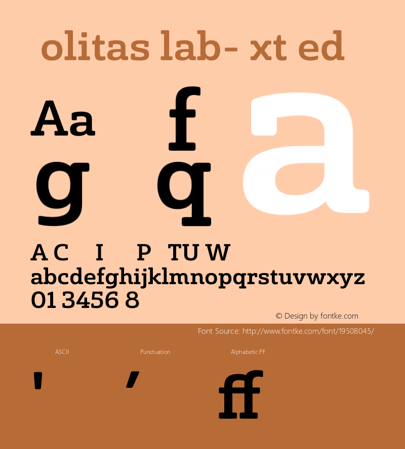 ☞SolitasSlab-ExtMed 1.000;com.myfonts.easy.insigne.solitas-slab.ext-medium.wfkit2.version.4sRo Font Sample