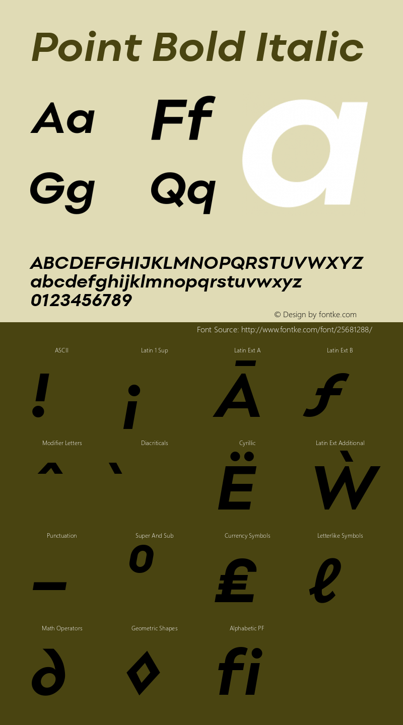 Point Bold Italic Version 1.000;PS 001.000;hotconv 1.0.88;makeotf.lib2.5.64775 Font Sample