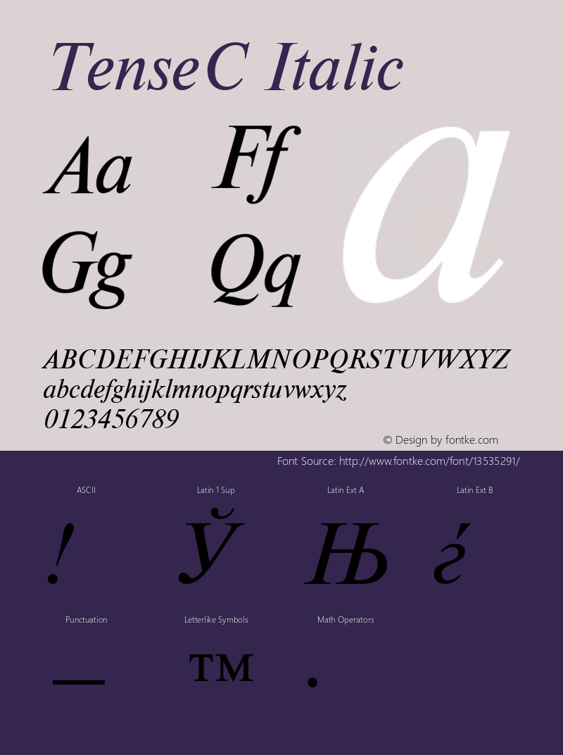 TenseC Italic 1.100.000 Font Sample